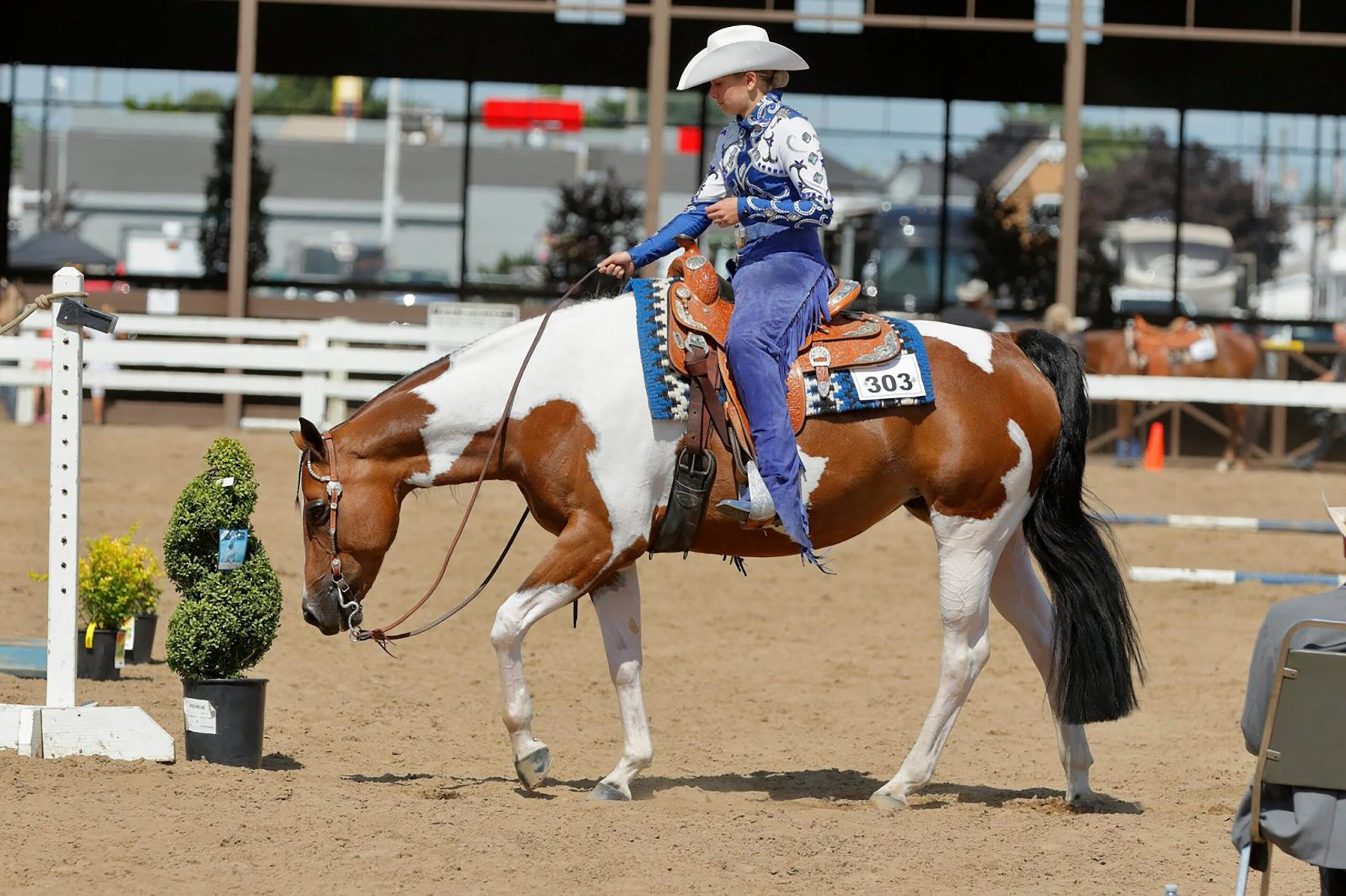 Reining