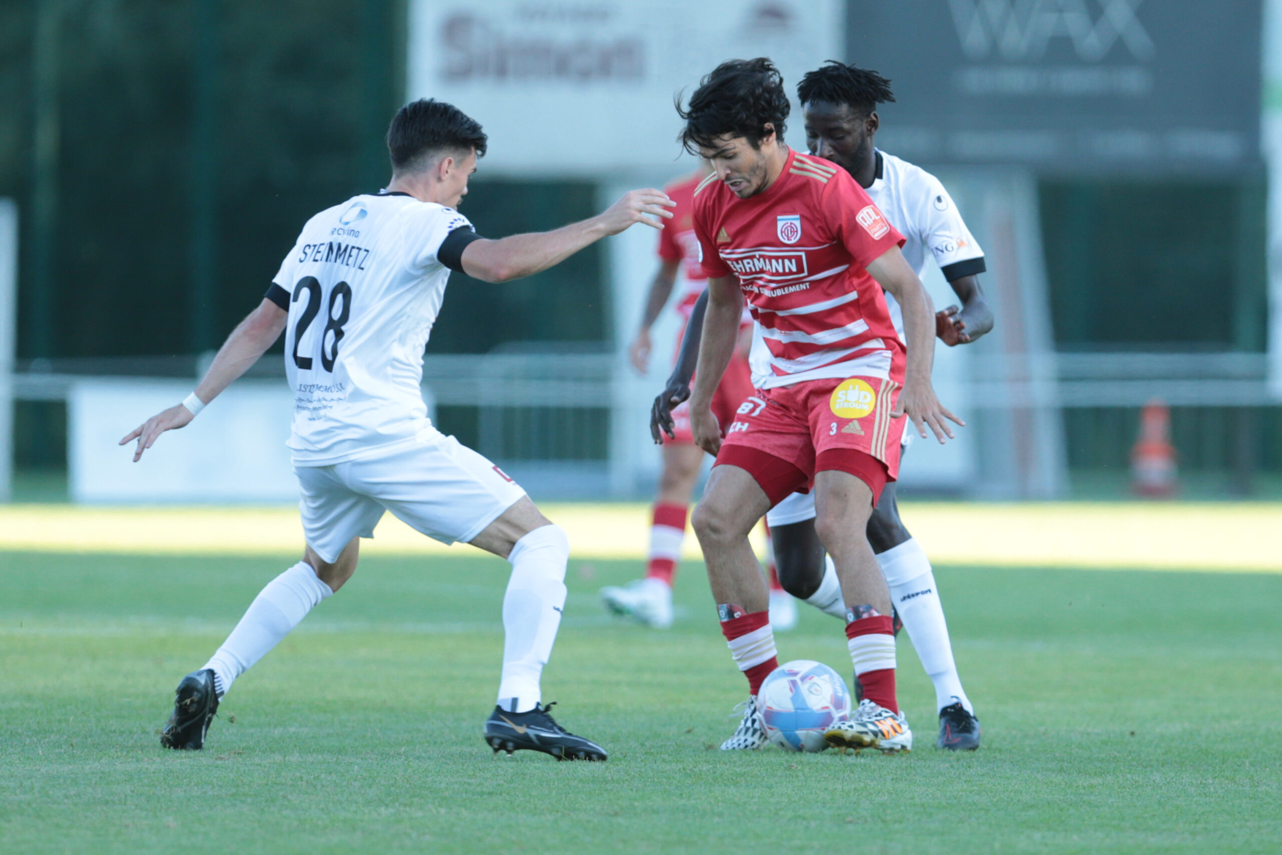 Diogo Pimentel