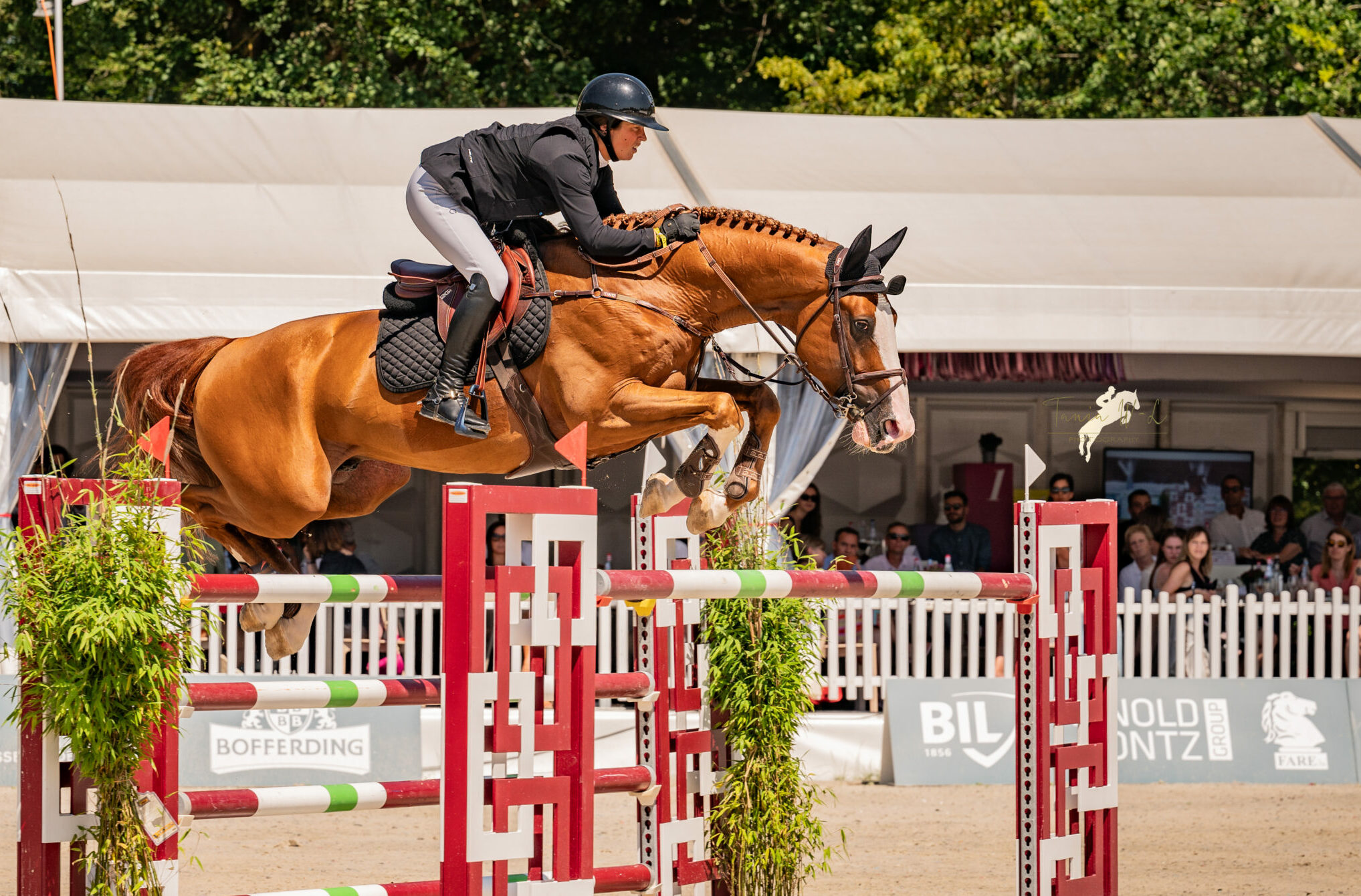 Après une édition 2025 éclatante, pas de CSI à Roser cette année !
