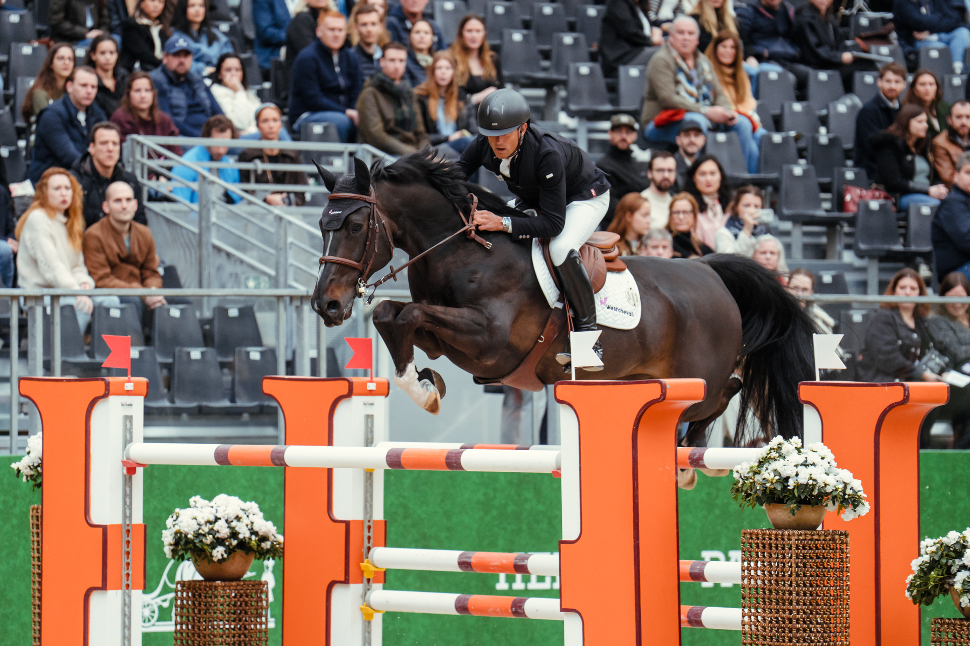 Prix de la Ville de Paris CSI 5 - Victor BETTENDORF et CANCUN TOREL Z - ©CHRISTOPHE TANIERE