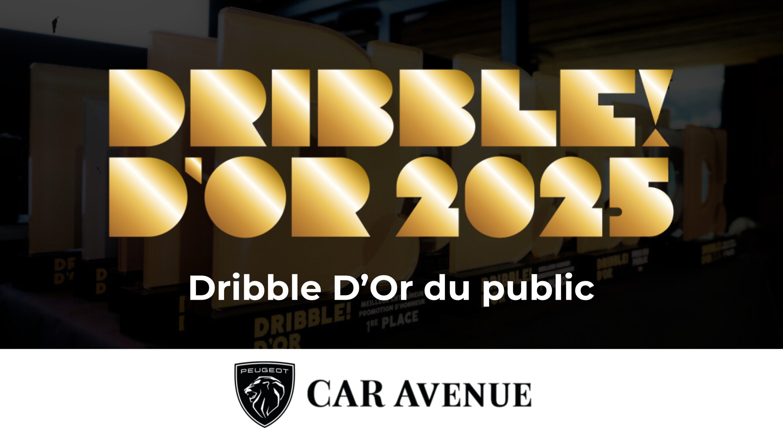 Dribble D'Or du Public