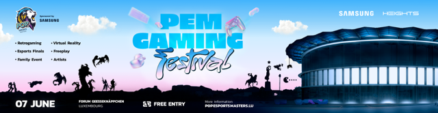 FESTIVAL GAMING