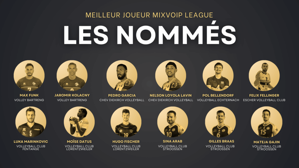 Meilleur joueur Mixvoip League : les nommés