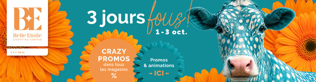 belle étoile-20260917_3joursfous_mental_960x250px