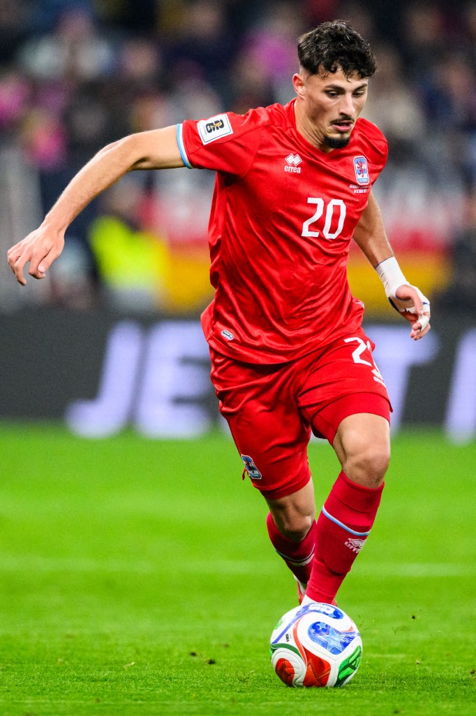 Eldin Dzogovic